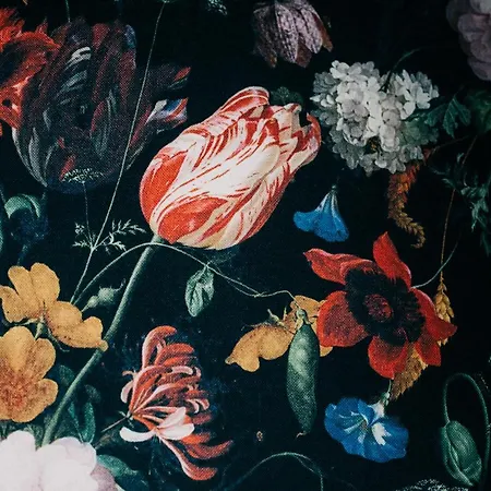 Couette-café A La Lon