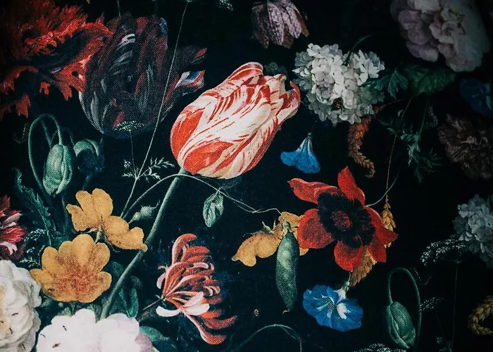 Bed and breakfast A La Lon